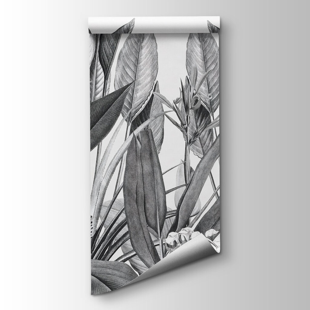 Tropical Engraving — product view