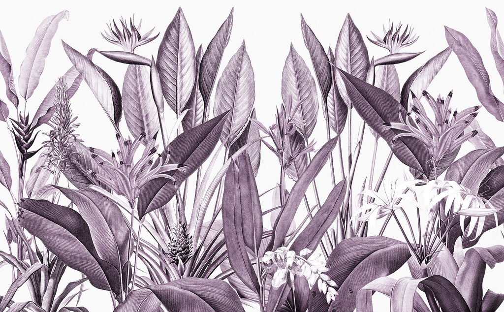 Tropical Engraving — full design