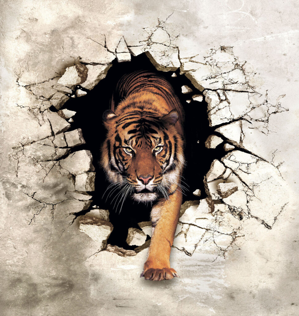 Tiger Unbound — full design