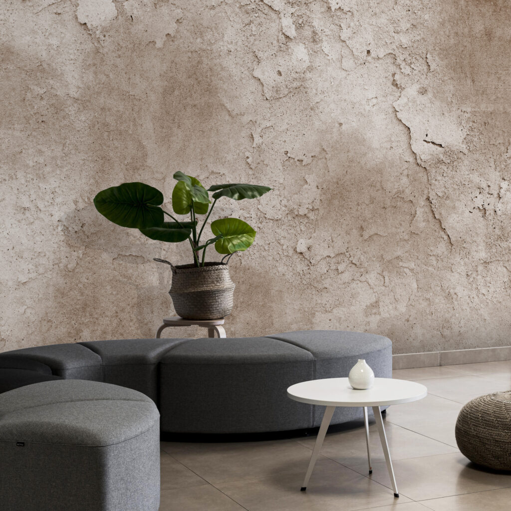 Cracks in peach paint — interior 1