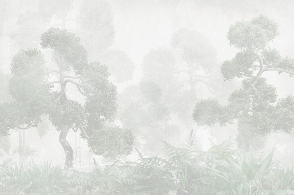 Pale treetops in haze — full design