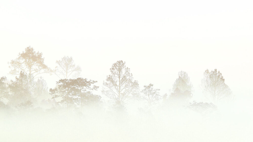Trees Beyond the Mist — full design