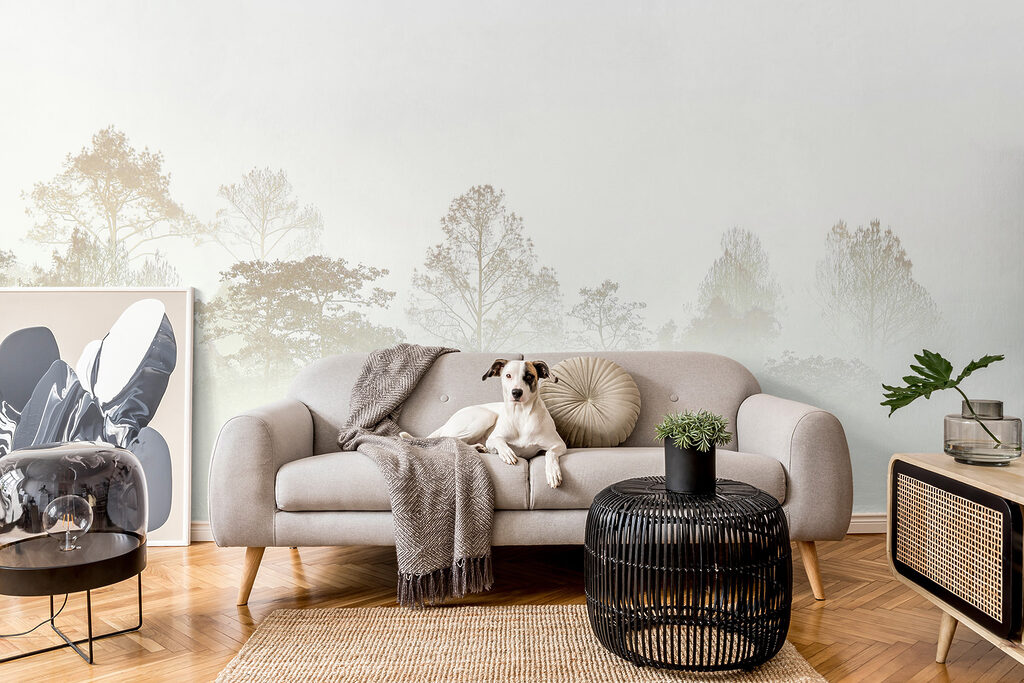 Trees Beyond the Mist — interior 4