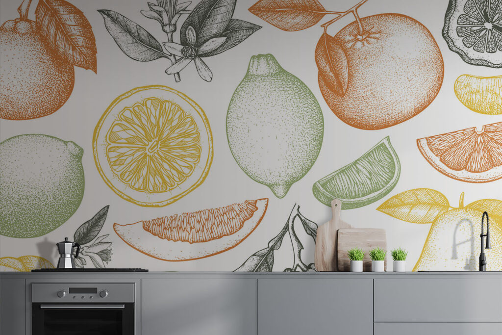 Citrus fruit line drawing — interior 2