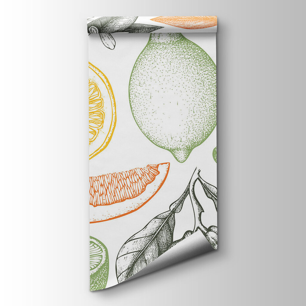 Citrus fruit line drawing — product view