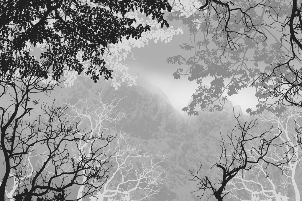 Branches frame grey mist — full design