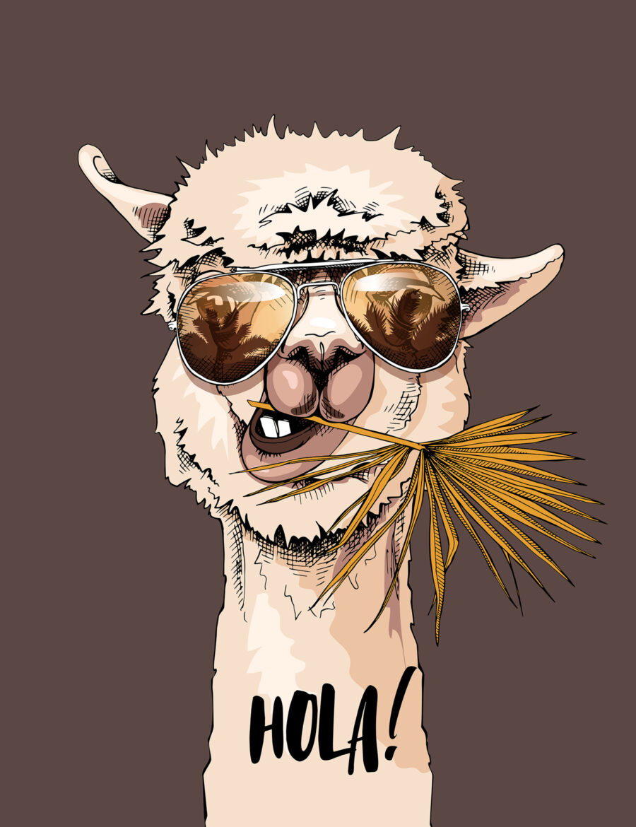 Llama wearing sunglasses — full design
