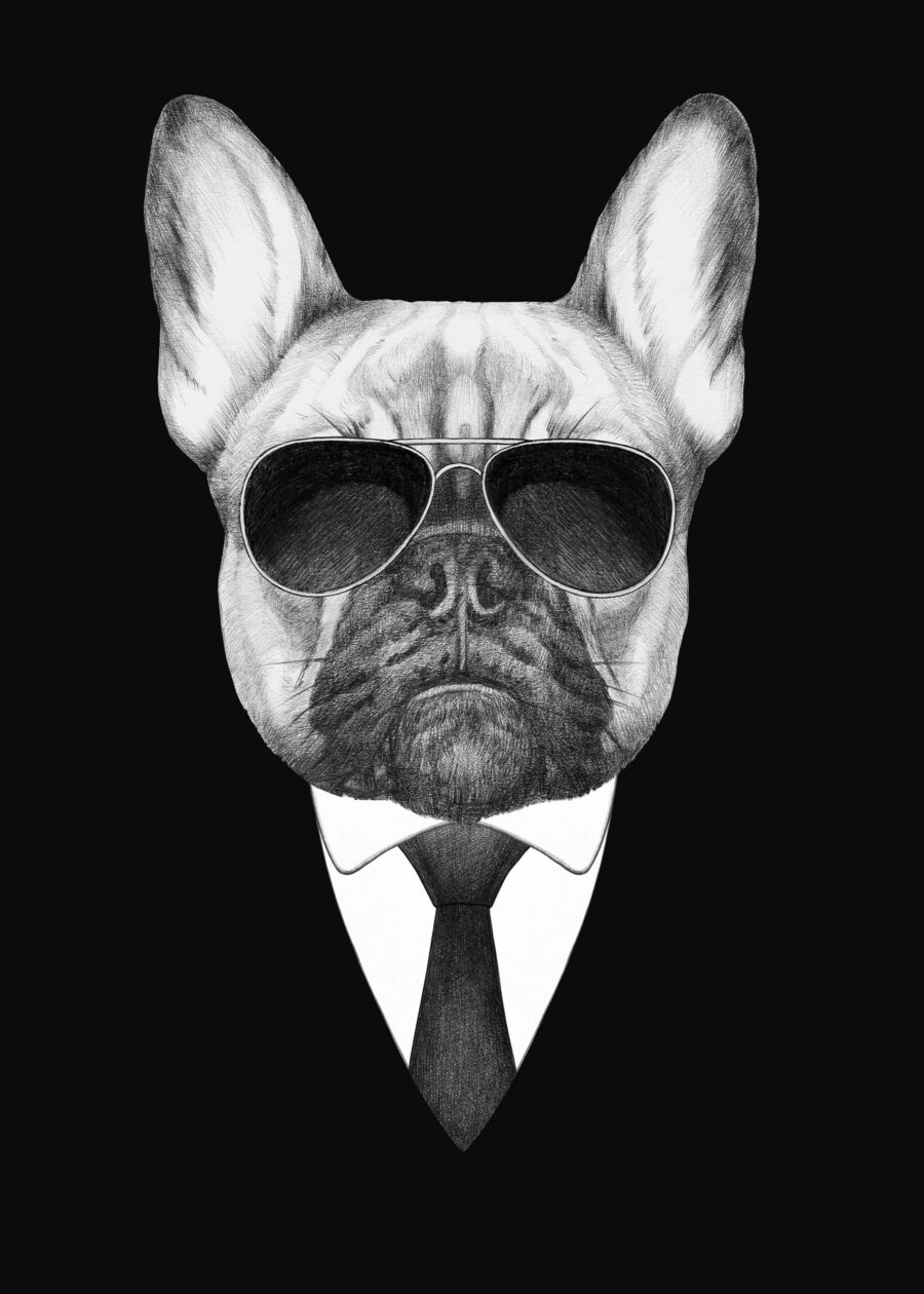 Dog in a suit — full design