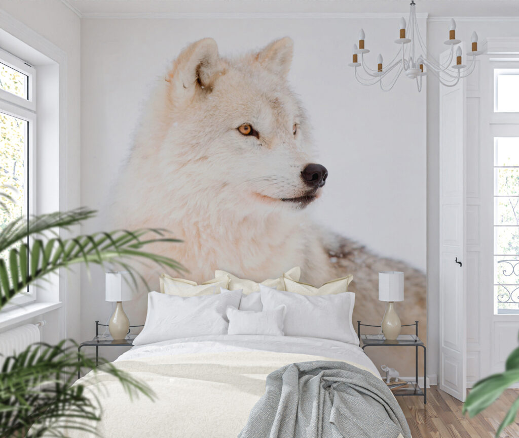 White wolf up close — interior 1
