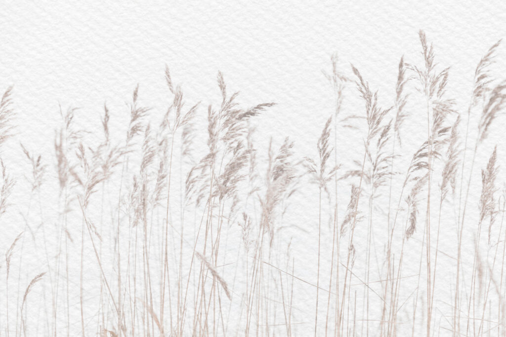 Tall grasses on white — full design