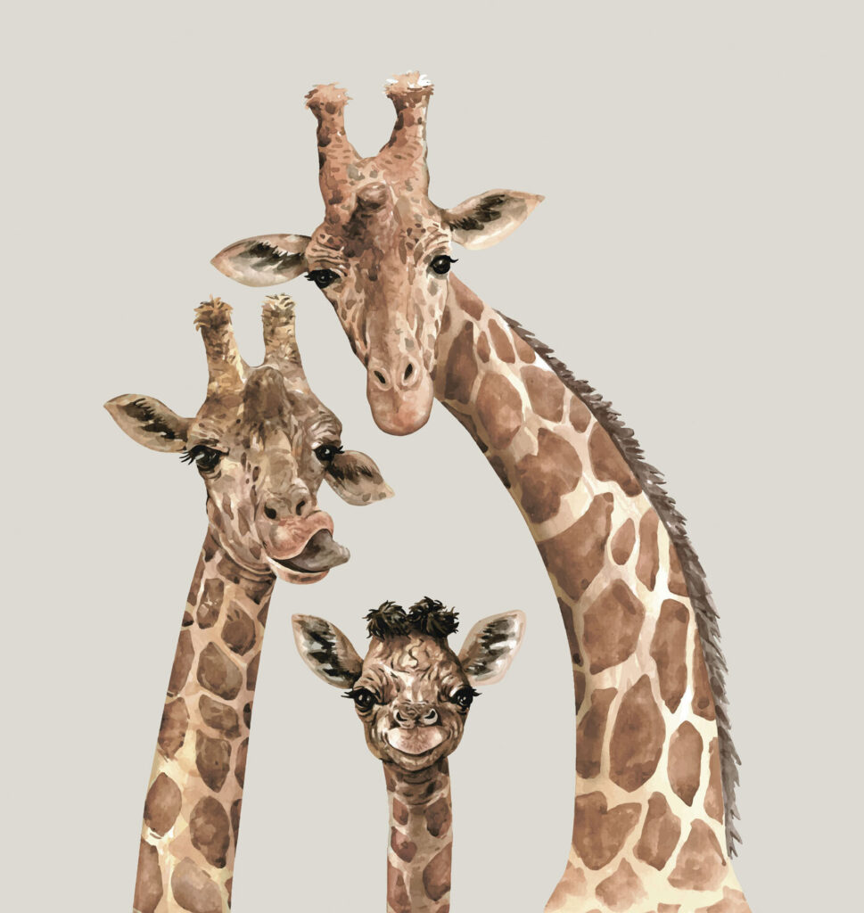 Giraffe Togetherness — full design