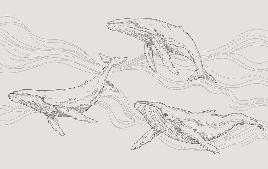Three whales among waves — full design