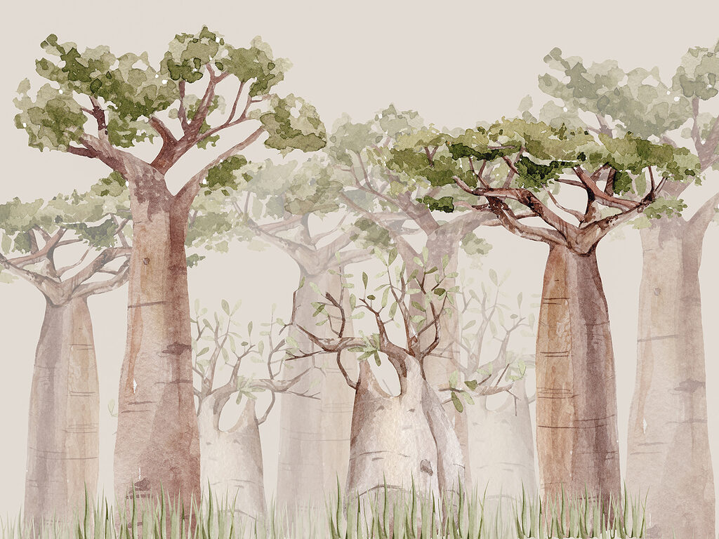 Baobabs in light watercolour — full design