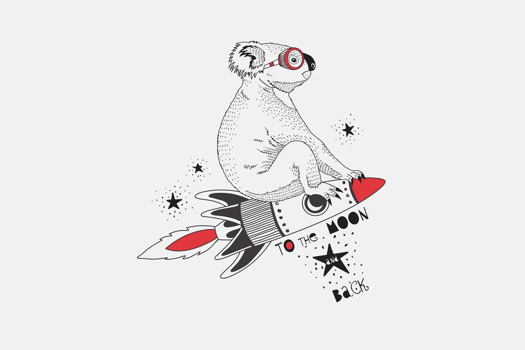 Koala on a rocket — full design
