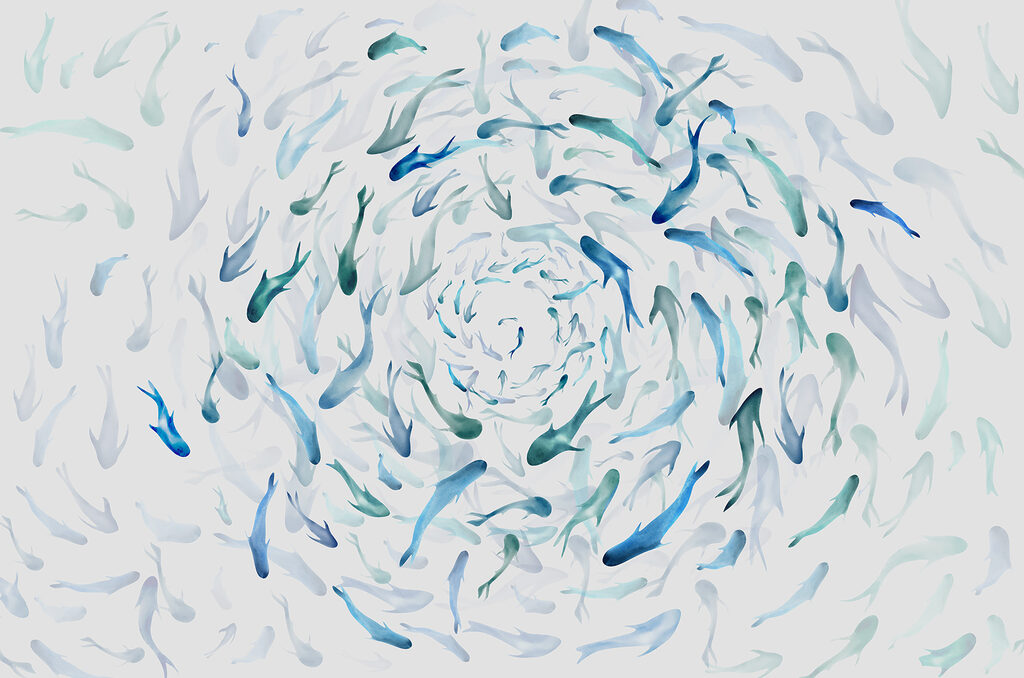 Shoal in Motion — full design