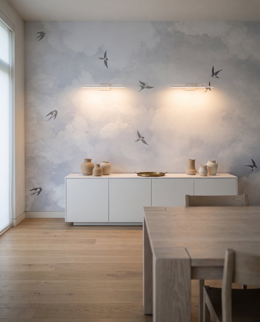 Birds through soft clouds — interior 1