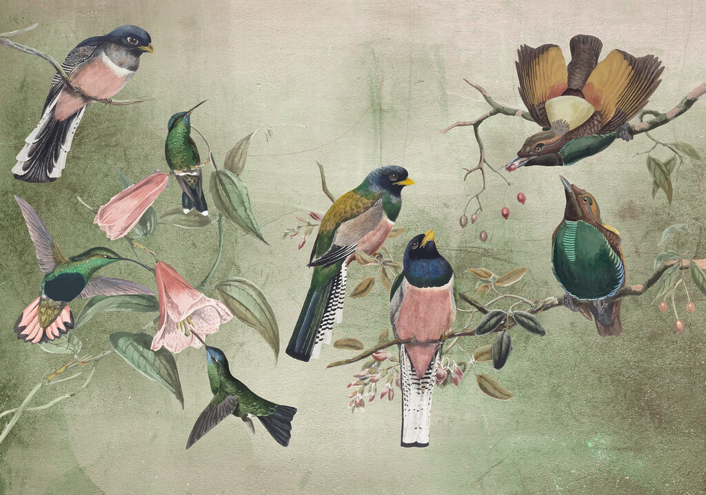 Colourful birds on branches — full design