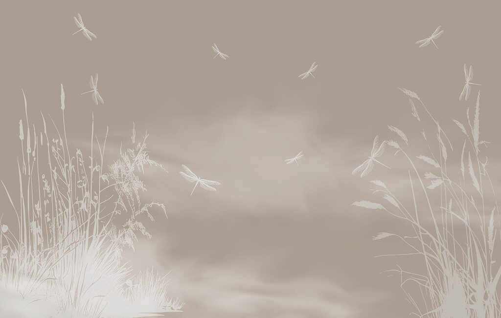 Dragonflies among grasses — full design