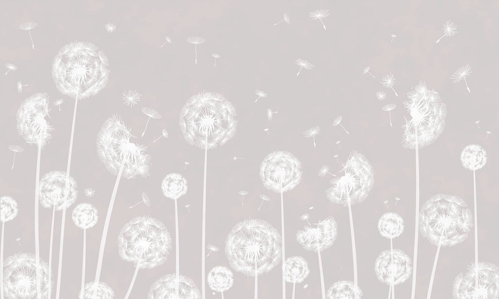 White dandelion clocks — full design
