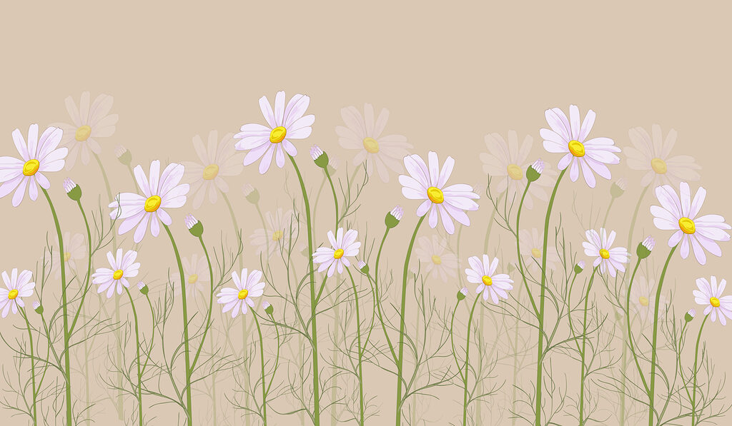 Daisies on slender stems — full design