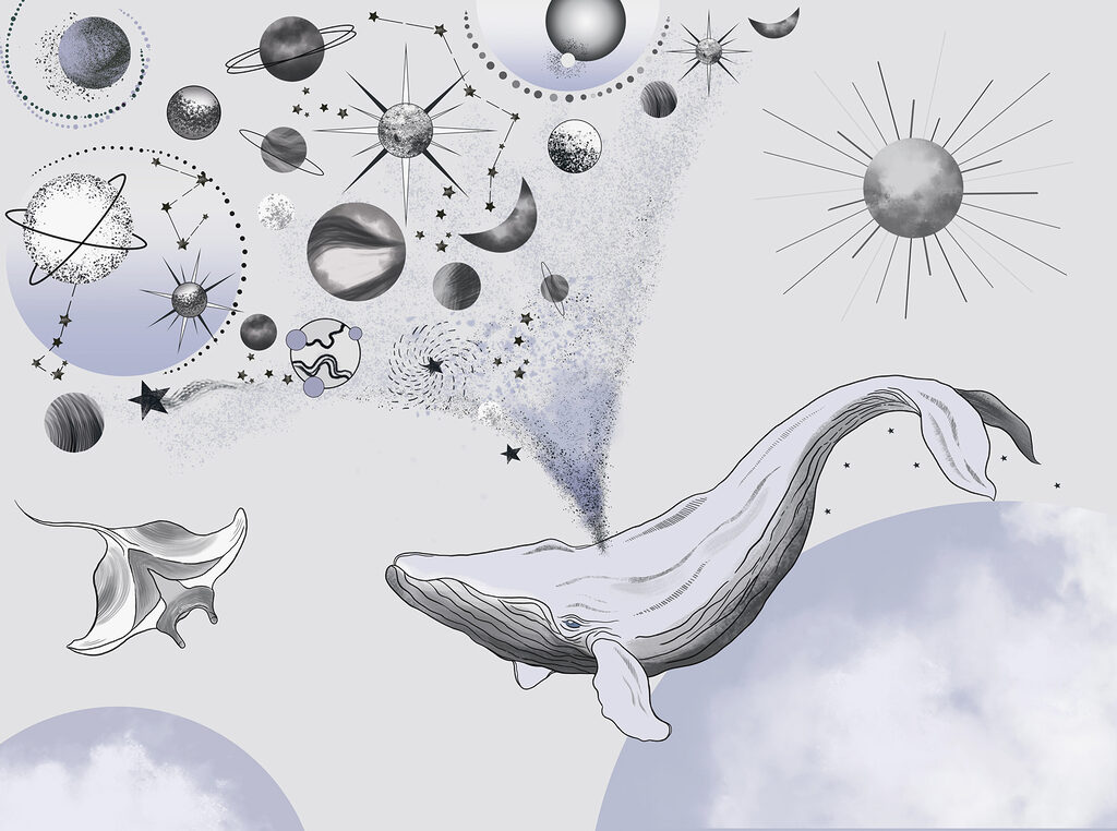 Whales among planets — full design