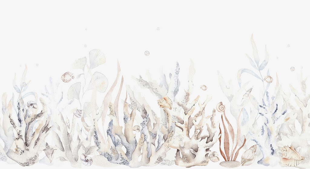 Pale coral garden — full design