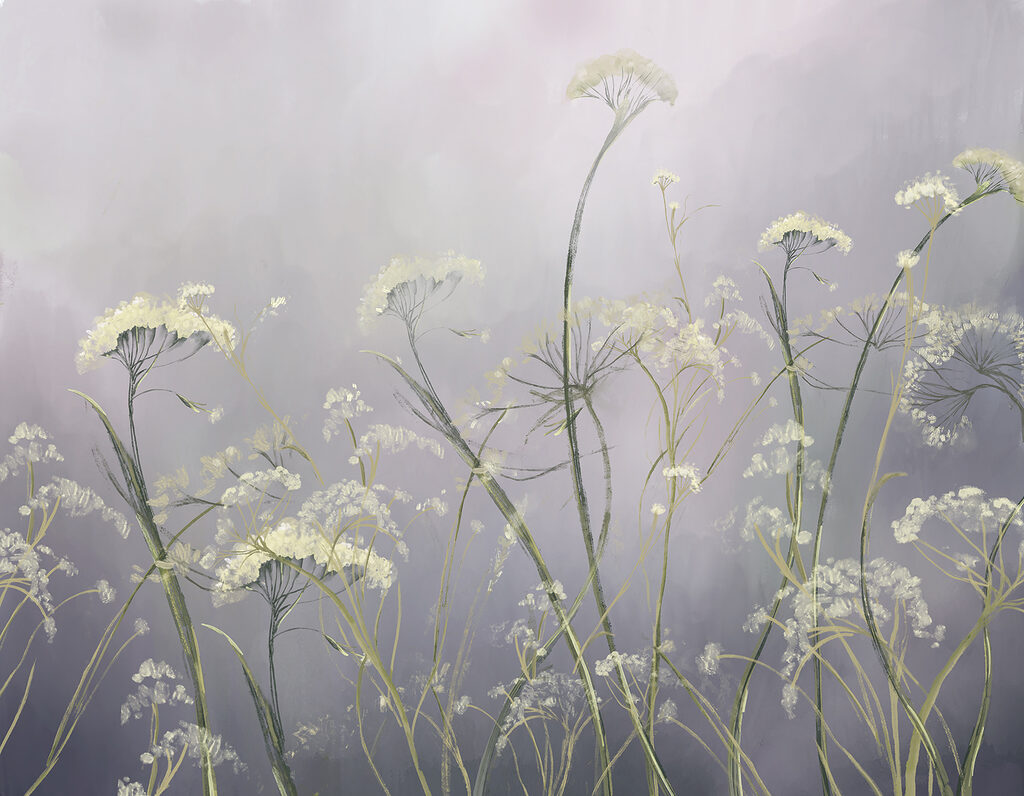 Umbel flowers in mist — full design