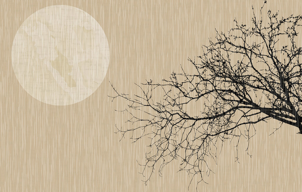 Branch before the moon — full design