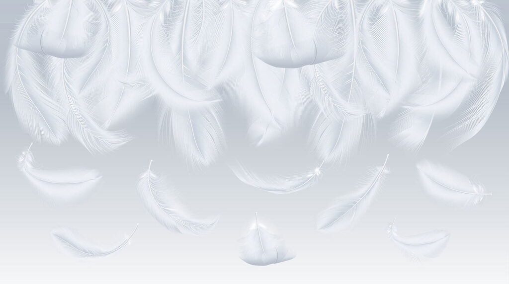 Feathers Falling Softly — full design