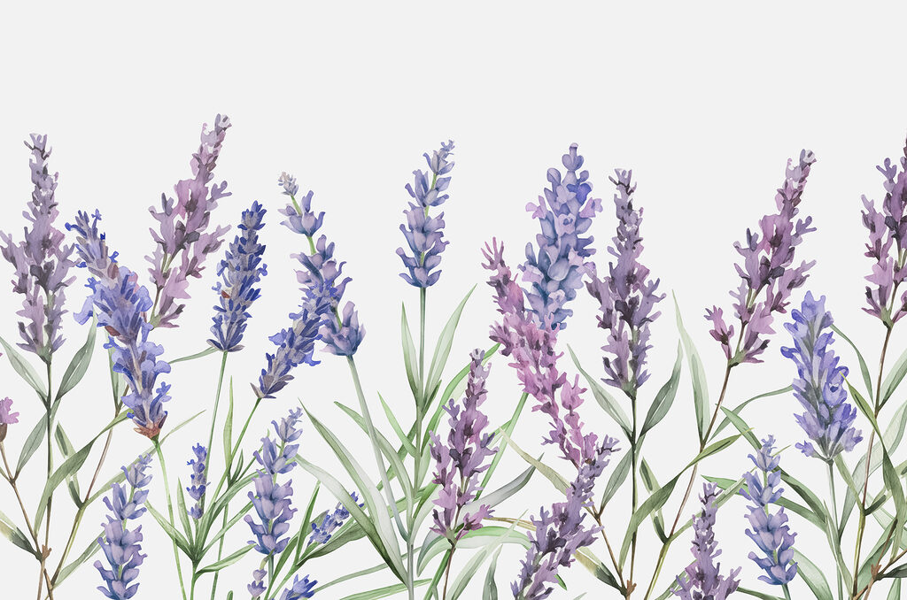 Lavender in watercolour — full design