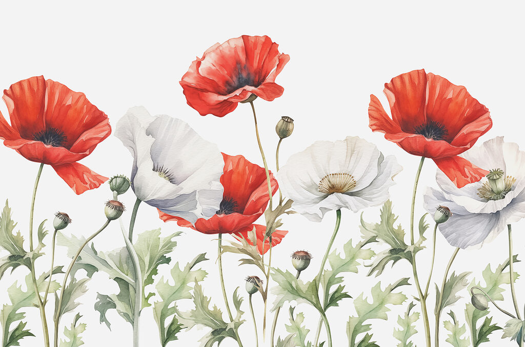 Poppy Walk — full design