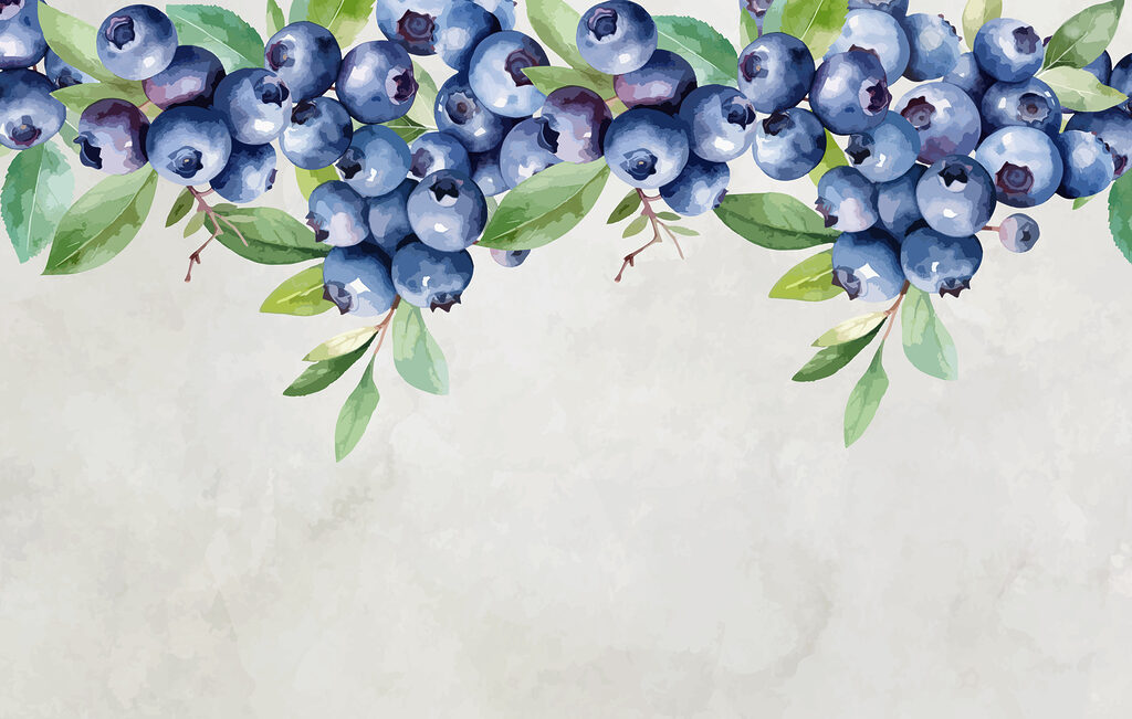 Blueberry branches — full design