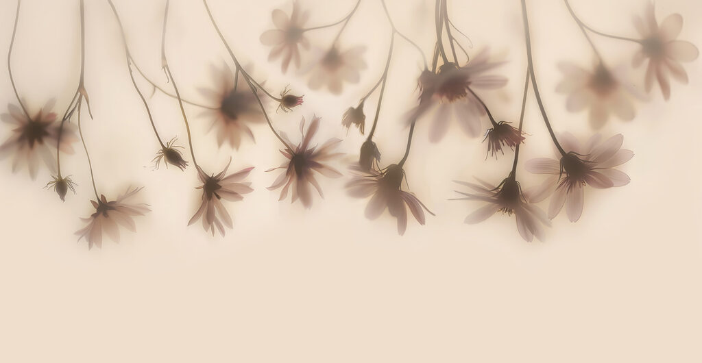 Hanging flower silhouettes — full design
