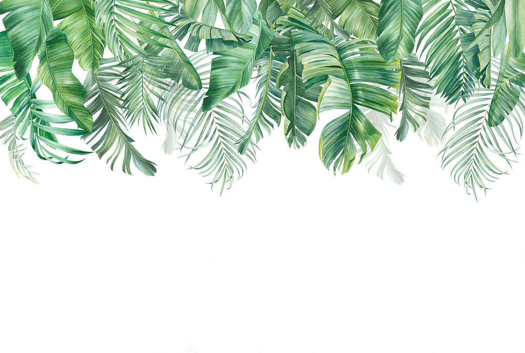 Palm fronds hanging down — full design
