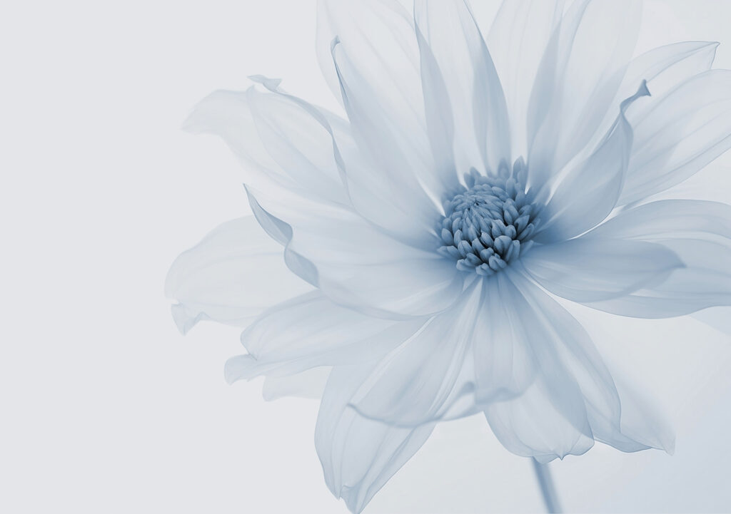 One large flower — full design
