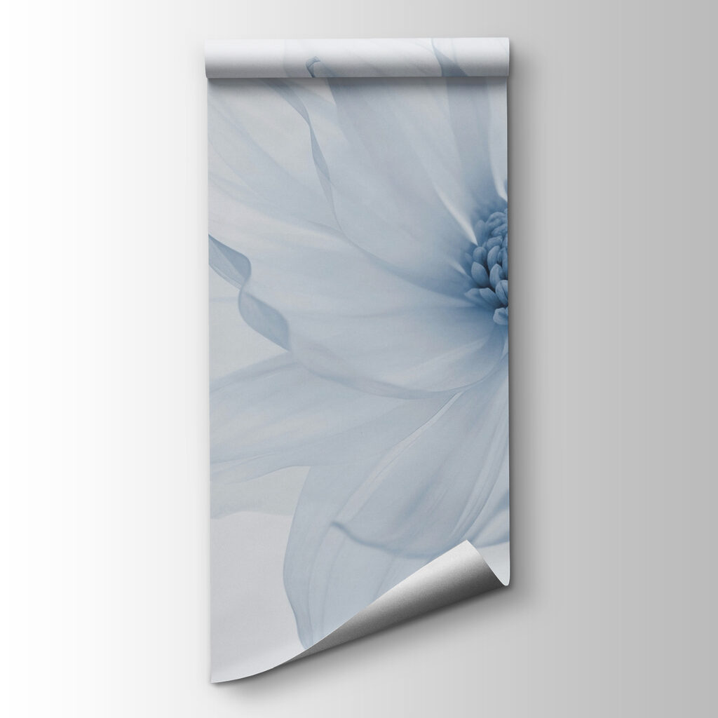 One large flower — product view