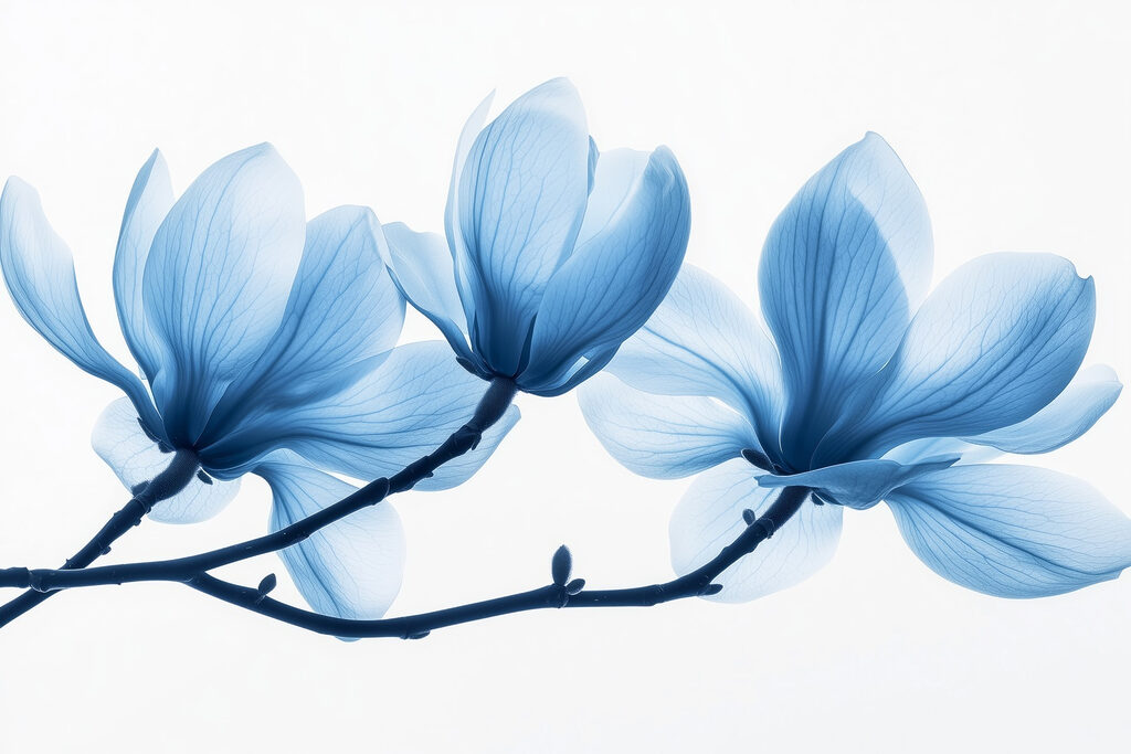 Blue magnolia branches — full design
