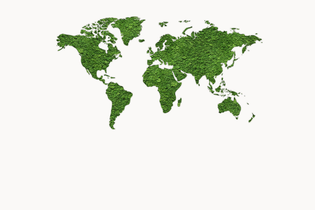 Textured world map — full design