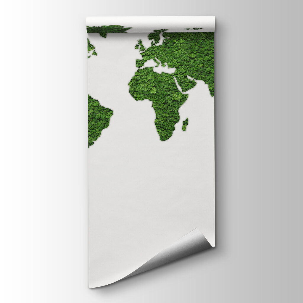 Textured world map — product view
