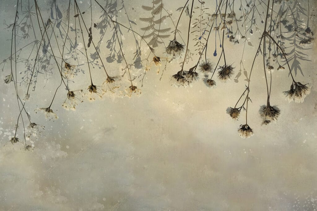 Hanging Meadow — full design