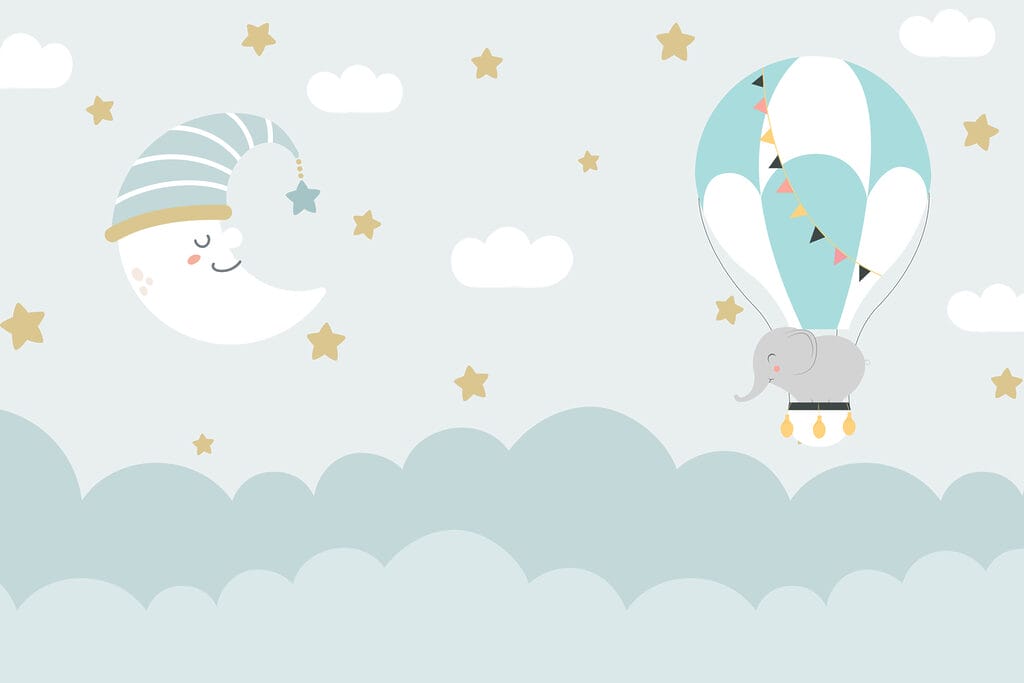Elephant in a balloon — full design
