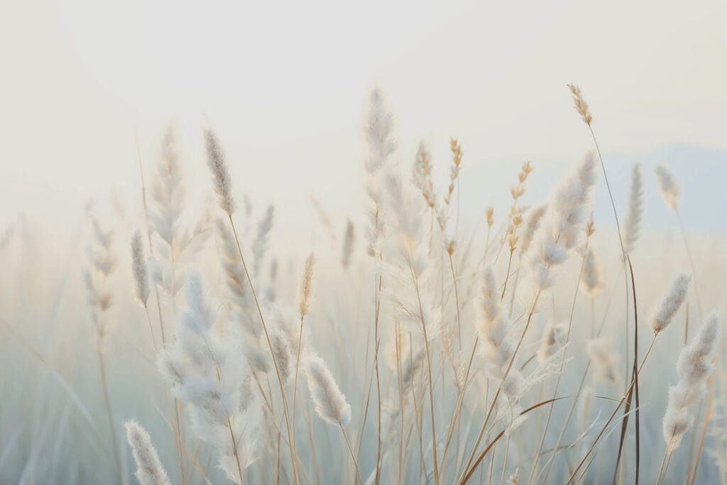 Meadow Morning — full design