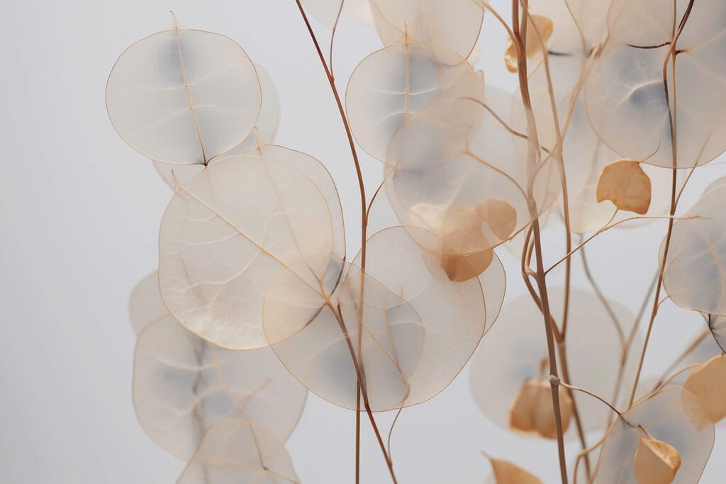 Translucent leaves on twigs — full design