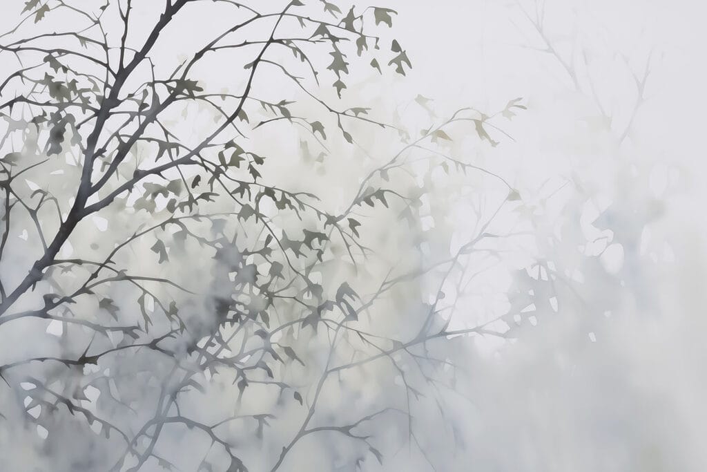 Grey branches in backlight — full design
