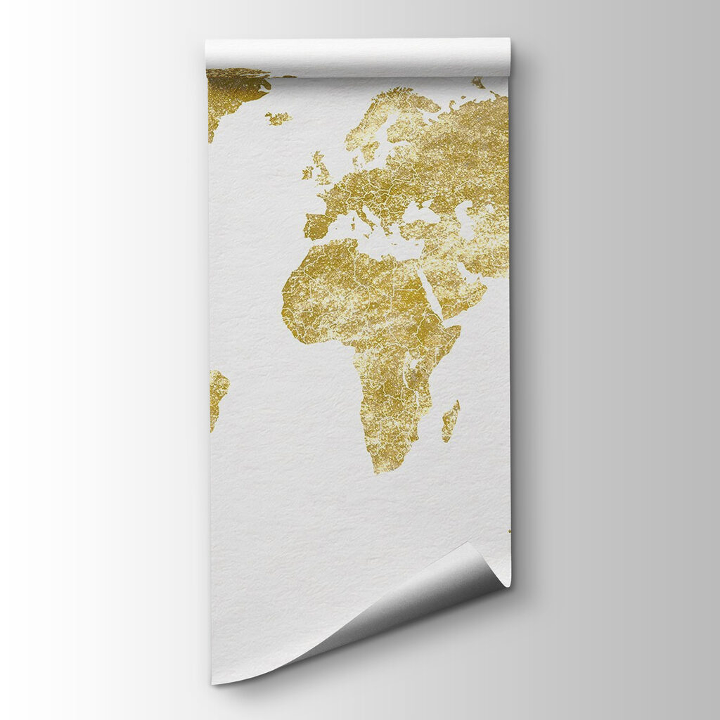 Engraved world map — product view