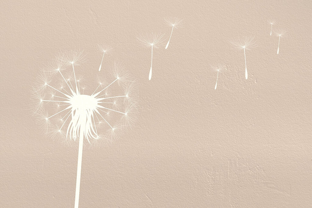 Dandelion seeds drifting — full design