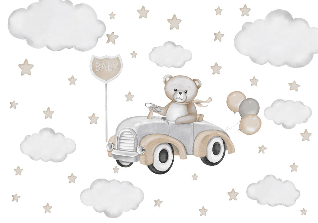 Bear driving through clouds — full design