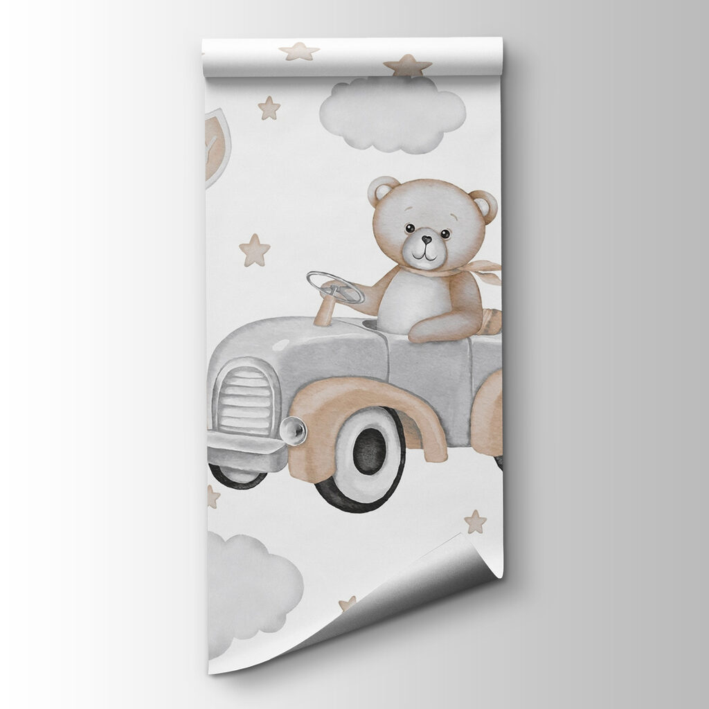 Bear driving through clouds — product view