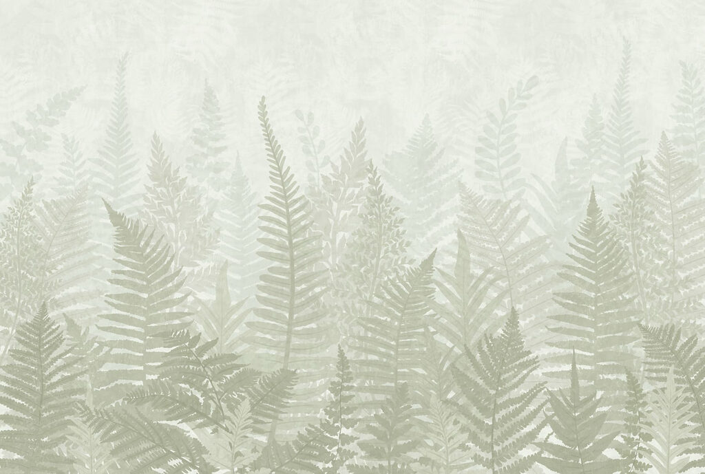 Ferns in soft mist — full design