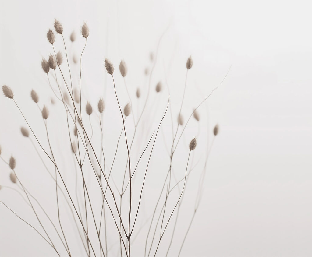 Grasses with seed heads — full design
